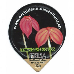 6.156 Orchideenausstellung Thun /G