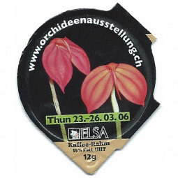 6.156 Orchideenausstellung Thun /R