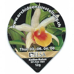 6.170 Orchideenaustellung Thun08 /G