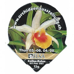 6.170 Orchideenaustellung Thun08 /R