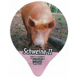 7.330  Schweine II /G