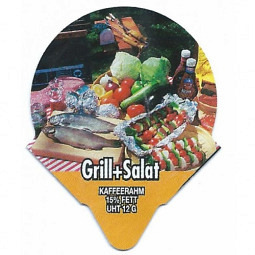 1.325 C - Grill + Salate /R