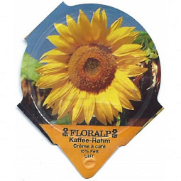 1.357 B - Sonnenblumen /R