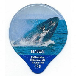 1.111 C - Delphine und Wale