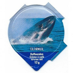 1.111 D - Delphine und Wale