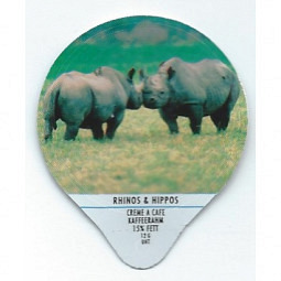 1.163 B - Rhinos + Hippos /G