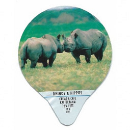 1.163 C - Rhinos + Hippos /G