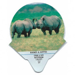 1.163 C - Rhinos + Hippos /R