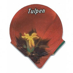 1.201 B - Tulpen /R