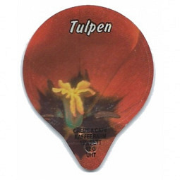 1.201 C - Tulpen /G