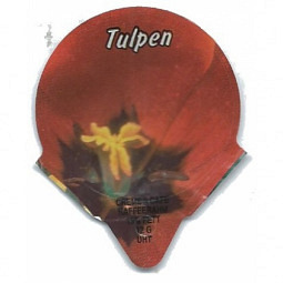 1.201 C - Tulpen /R
