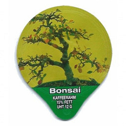 1.283 A - Bonsai II /G