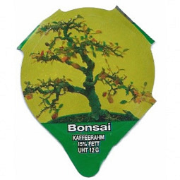 1.283 C - Bonsai II /R
