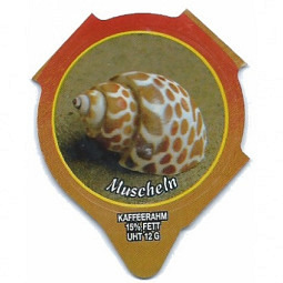 1.285 C - Muscheln III /R