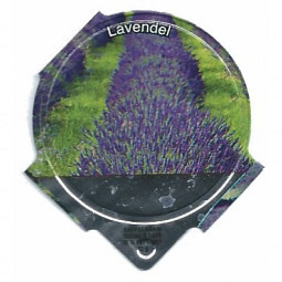 1.500 D - Lavendel