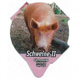 7.330  Schweine II /R