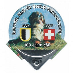 1.462 D - Berner Sennenhunde