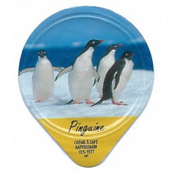 4.101 B -  Pinguine