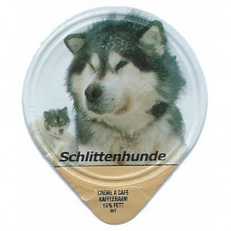 4.133 B - Schlittenhunde