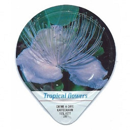 480 A - Tropcal Flowers