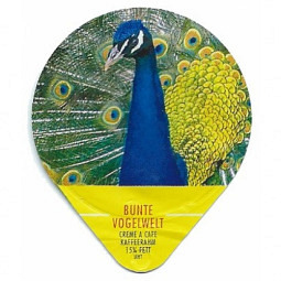 440 B - Bunte Vogelwelt