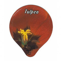 1.201 A - Tulpen /G