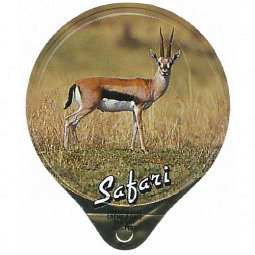 242  A - Safari