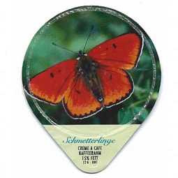 444 D - Schmetterlinge III