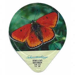 444 B - Schmetterlinge III
