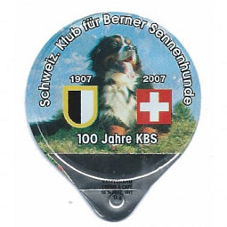 1.462 C - Berner Sennenhunde