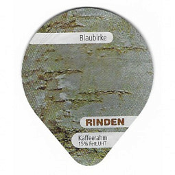 854 A - Rinden