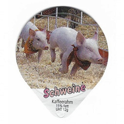 883 A - Schweine