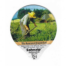 D-67 A - Schwarzwald 2
