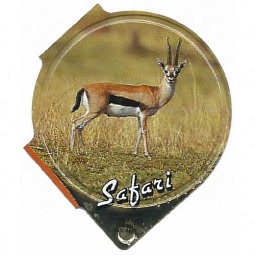 242  B - Safari