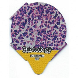 7.444  Histology /R