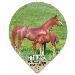 6.122 Pferdesport /G