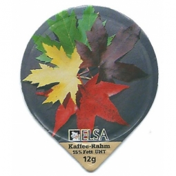 6.140 Herbstblätter /G