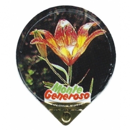 635  Monte Generoso /G