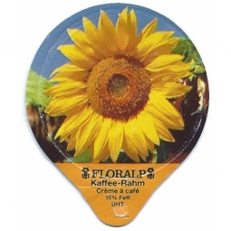 1.357 A - Sonnenblumen