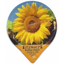 1.357 B - Sonnenblumen /G