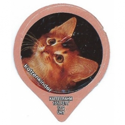 1.297 B - Katzenkinder II /G