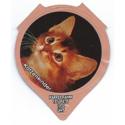 1.297 B - Katzenkinder II /R
