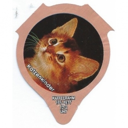 1.297 C - Katzenkinder II /R