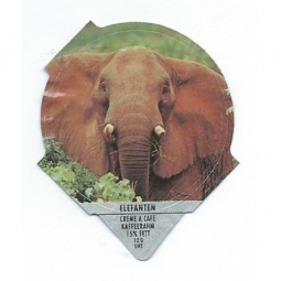 1.101 A - Elefanten /R