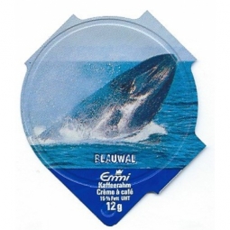 1.111 B - Delphine und Wale