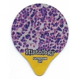 7.444  Histology /G