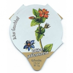 7.595  Wildpflanzen /R