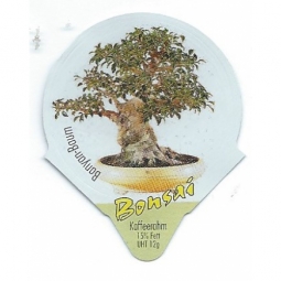 7.503 Bonsai /R