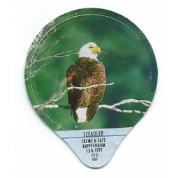 1.136 B - Seeadler /G