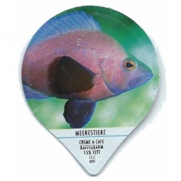 1.171 A - Meerestiere /G